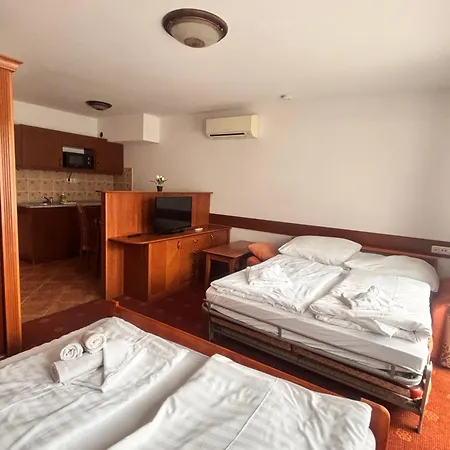 Apartment Phoenix Spa Apartman House *