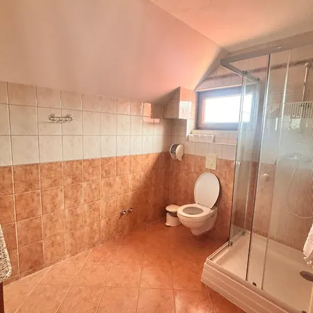 Apartment Phoenix Spa Apartman House *