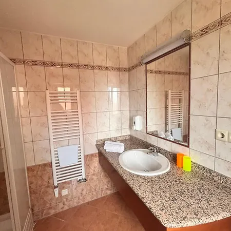 Phoenix Spa Apartman House * Heviz