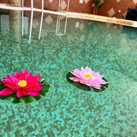 Phoenix Spa Apartman House