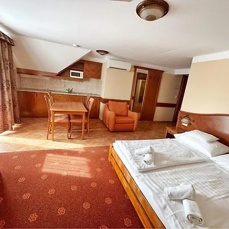 Phoenix Spa Apartman House * Heviz