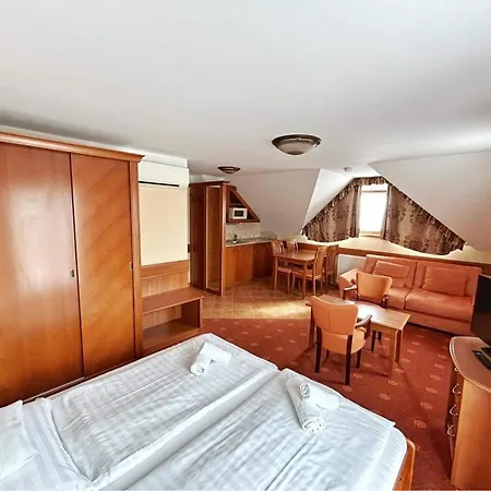 Apartment Phoenix Spa Apartman House *