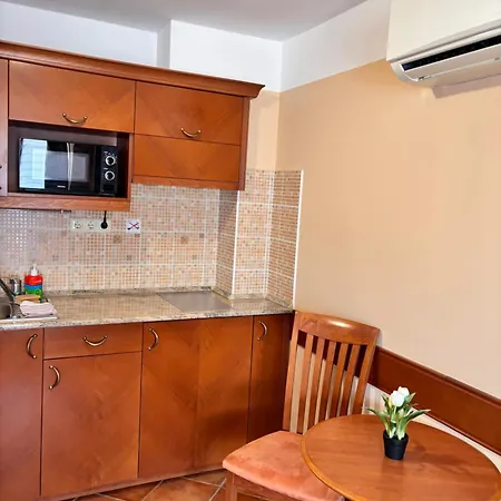 Phoenix Spa Apartman House * Heviz