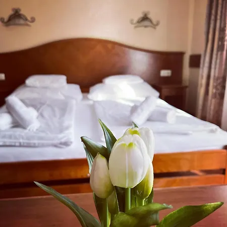 Apartment Phoenix Spa Apartman House