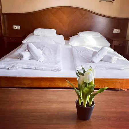 Apartment Phoenix Spa Apartman House