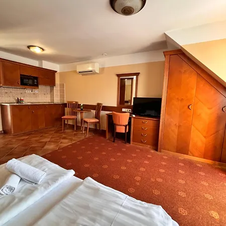 Phoenix Spa Apartman House *
