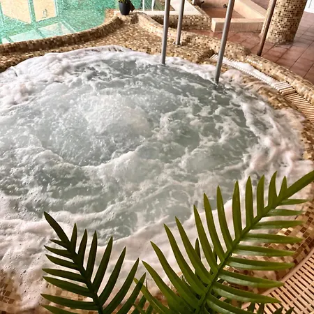 Phoenix Spa Apartman House Heviz